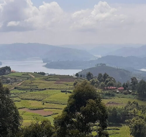 5 Day Gorilla Trekking and Lake Bunyonyi Adventure