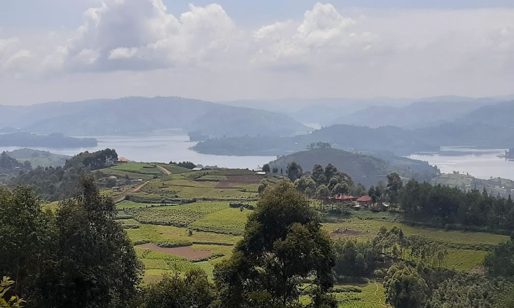 5 Day Gorilla Trekking and Lake Bunyonyi Adventure