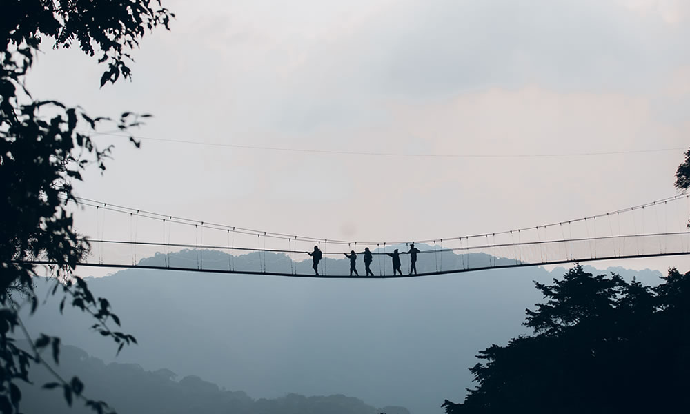 5 Days Exploring Nyungwe Forest National Park