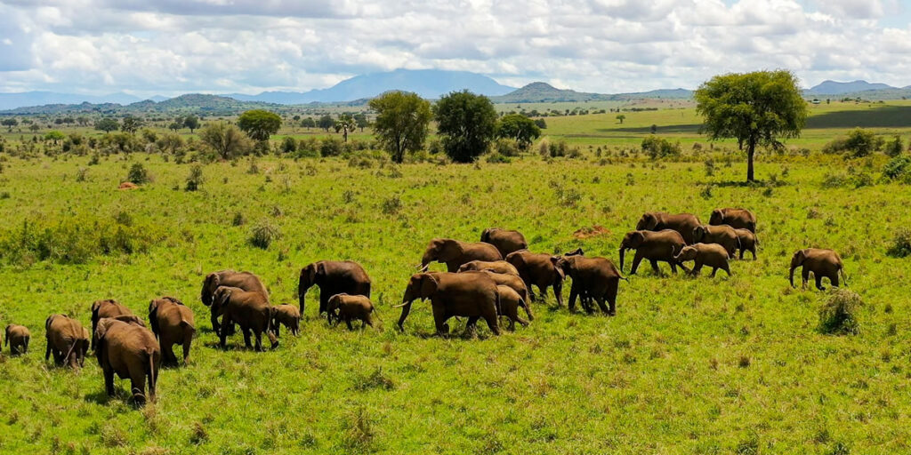 Kidepo Valley National Park, Uganda National Parks