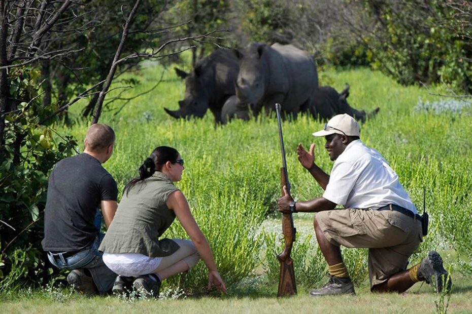 Rhino Tracking in Uganda