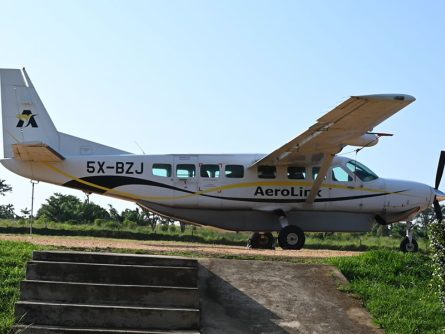 6 Day Combined Kidepo Valley Safari and Gorilla Trekking