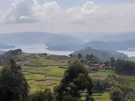5 Day Gorilla Trekking and Lake Bunyonyi Adventure