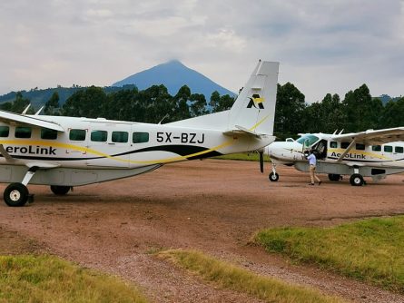 4 Day Scenic Fly-In Chimpanzee Tracking Tour