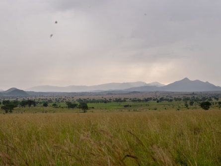 6 Day Safari to Kidepo Valley National Park