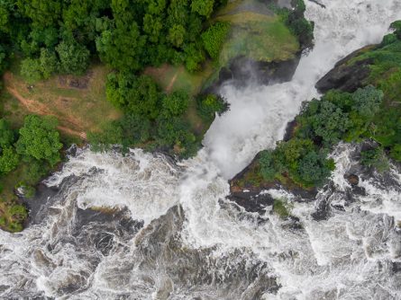 4 Day Safari to Murchison Falls National Park