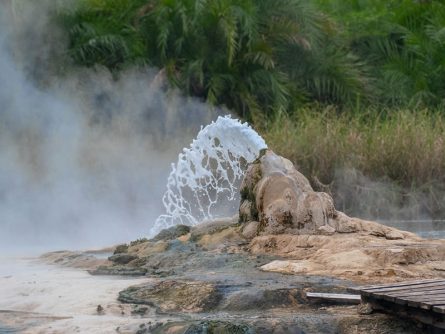 5 Day Safari in Semuliki National Park